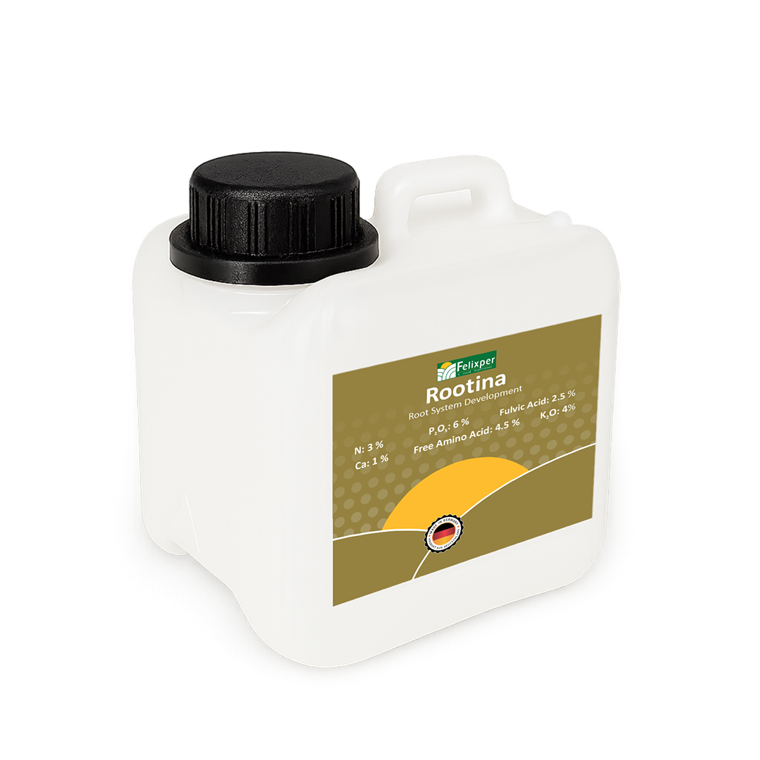 Rootina Felixper rootina-felixper